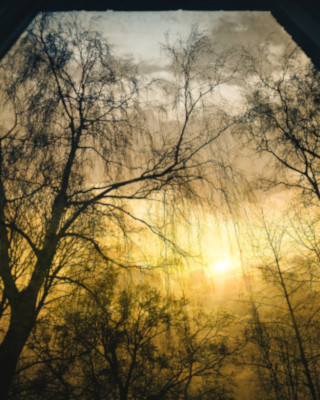 Dawn