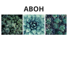 Aboh