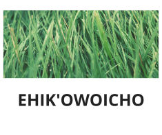 Ehik'owoicho