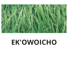 Ek'owoicho