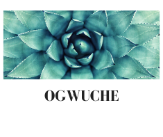 Ogwuche